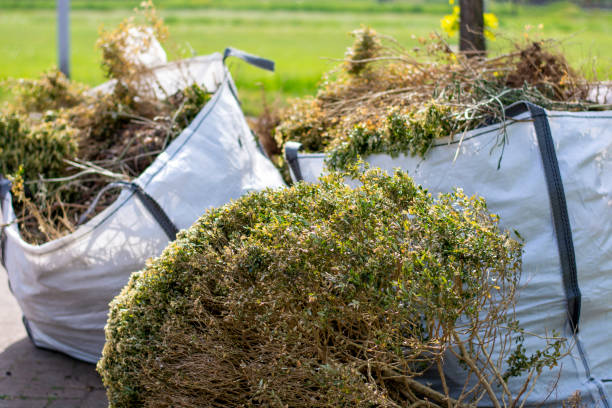 Best Professional Junk Removal  in Claxton, GA